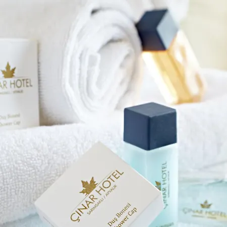 艾瓦勒克奇纳尔酒店 酒店 3*