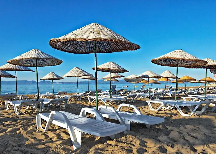 ホテル Cinar Ayvalı